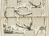 un vieux livre sur lequel figure l'image d'un arbre et d'un oiseau