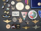 a lot of military badges and medals on a table