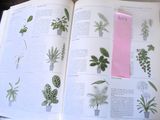 un livre sur lequel est posé un marque-page rose