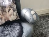 a black chair with a pillow on it with a wolf on it