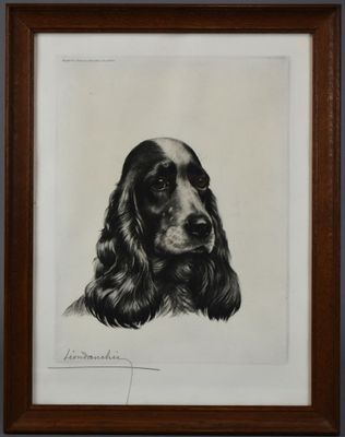 un dessin en noir et blanc représentant un chien à poil long