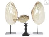pair of seashells with a puffer fish on a black stand