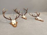 three deer heads with antlers mounted on a wall