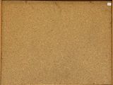 a picture of a cork board with a picture on it