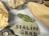 many different types of rocks on the table