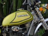 a close up of a motorcycle parked in front of a cactus plant