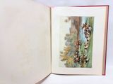 an open book with a picture of a forest scene on it