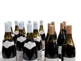 des bouteilles de vin sont alignées sur une surface blanche