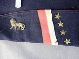 an image of a close up of a flag with a horse on it