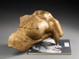 une sculpture représentant une tête d'homme posée sur un livre