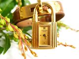 an image of a close up of a wrist watch with a lock