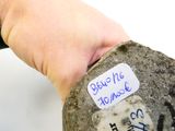 une personne tenant un caillou sur lequel est collé un autocollant