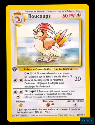 une carte Pokémon sur laquelle figure l'image d'un oiseau