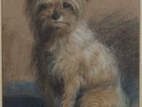 une image représentant un dessin d'un chien assis sur une table