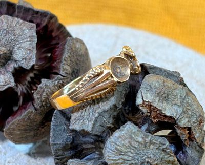 une bague en or posée sur un tas de fleurs séchées