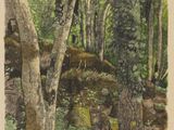 une image représentant un tableau avec des arbres et des rochers dans une forêt