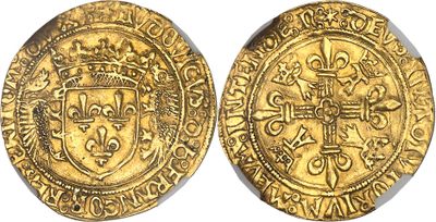 a gold coin with a crown on the front and a shield on the back