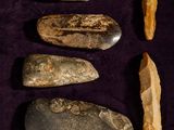 several different types of rocks are arranged in a row on a purple surface