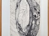 a black and white drawing of a skull in a wooden frame