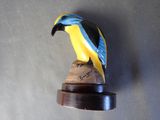 a bird that is sitting on top of a piece of wood