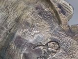 a silver statue of a dog that is laying down