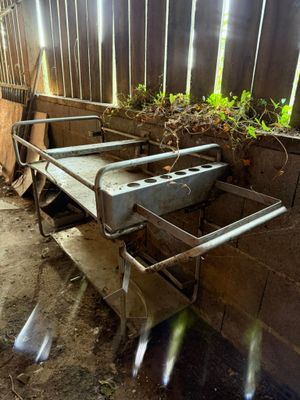 a metal bed in the middle of a dirty room