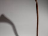 an image of a walking stick casting a shadow on a white background