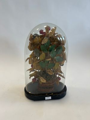 a glass dome with a plant inside of it on a table