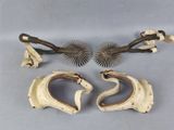 trois fragments de crânes d'animaux, munis de cornes et de pointes, posés sur une table