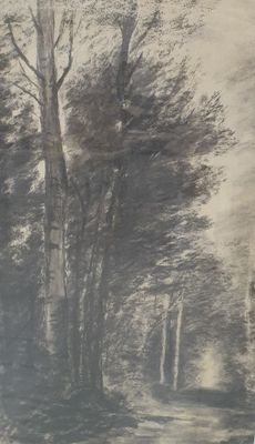 ANONYME (XIXè-XXème) Chemins en sous-bois