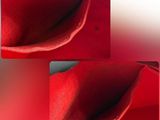 two pictures of a red bag on a table
