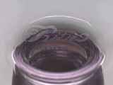 a close up of a glass of water with a lizard in it