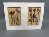 deux tableaux encadrés représentant des iris et d'autres fleurs posés sur une table