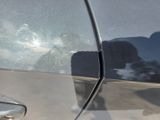 a reflection of a dog in the window of a car