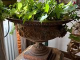 a plant that is sitting in a vase on a table