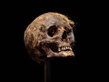a close up of a skull on a stand against a black background