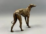 bronze statue of a greyhound dog standing on a white surface