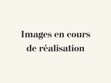 Photo 1/1 du lot