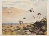 une image représentant un tableau où l'on voit des oiseaux survoler un champ