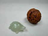 une petite tortue verte à côté d'une petite tortue brune
