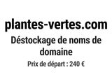 Photo 1/1 du lot
