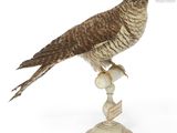 un oiseau perché au sommet d'un piédestal