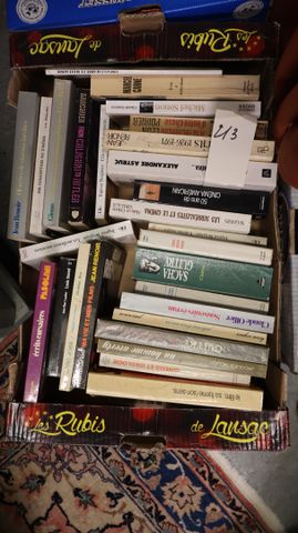 Carton de 28 livres sur le Cinéma.