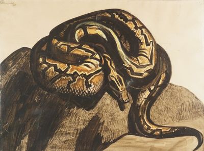dessin représentant un serpent sur un rocher, sur lequel se trouve un autre serpent