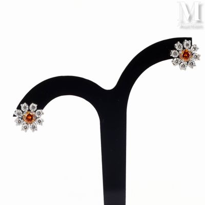 an image of a pair of earrings on a black stand