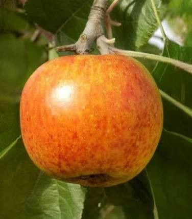 Destockage & Invendus