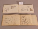 two open books with drawings of animals on them on a table