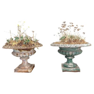 deux vases contenant des plantes, sur fond blanc