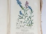 an open book with a drawing of flowers on it