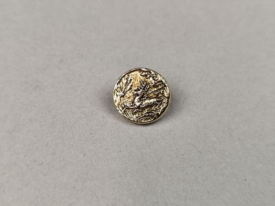 gros plan d'une pièce d'or sur une surface blanche